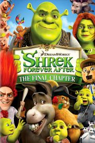 Shrek Forever 2010 PL