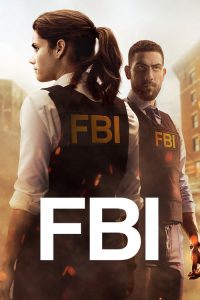 FBI: Sezon 1