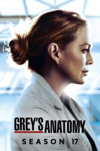 Chirurdzy (Grey’s Anatomy): Sezon 17